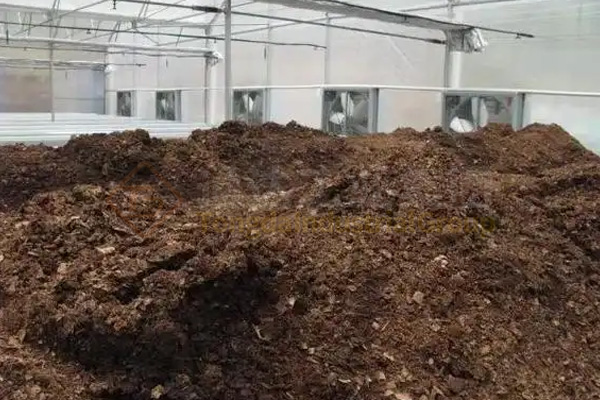臭氣熏天“牛糞村”的蛻變：畜糞變身有機肥，成為種植戶的香餑餑